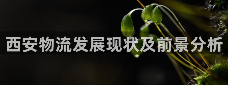 28圈加拿大是什么