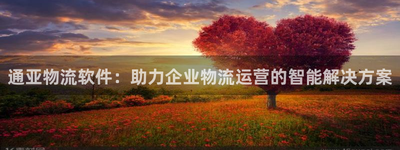 28圈代理落网