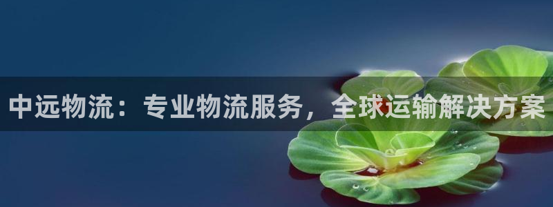 28圈是啥