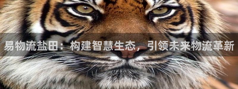 28圈注册送