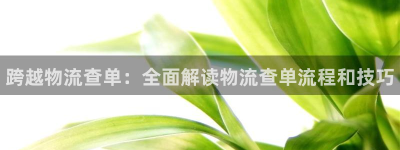 28圈注册链接