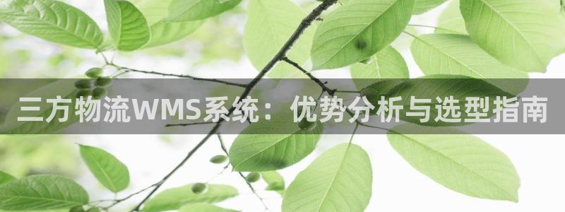 28圈pg麻将胡了2老是空转