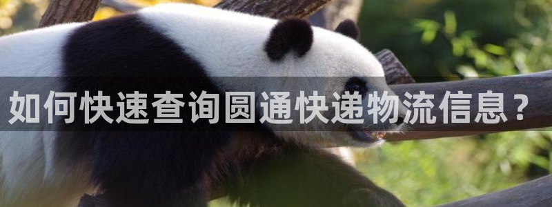 28圈官方平台