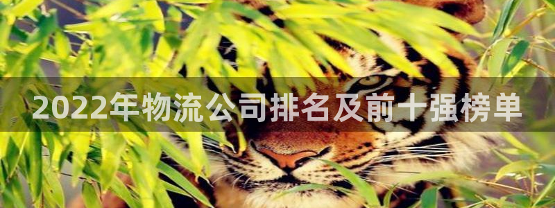 加拿大28圈数字规则