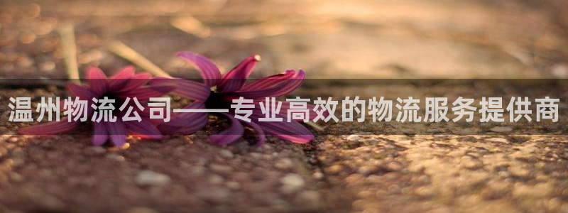28圈初始资金密码是什么