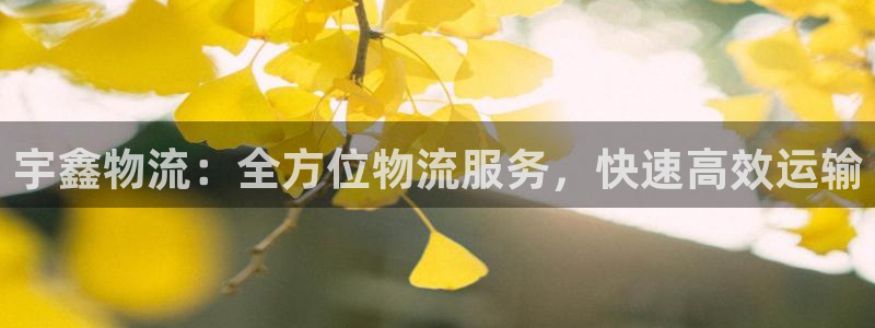 28圈娱乐官网网页下载