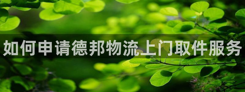 28圈官方官网版
