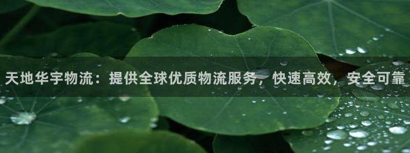 28圈人头费