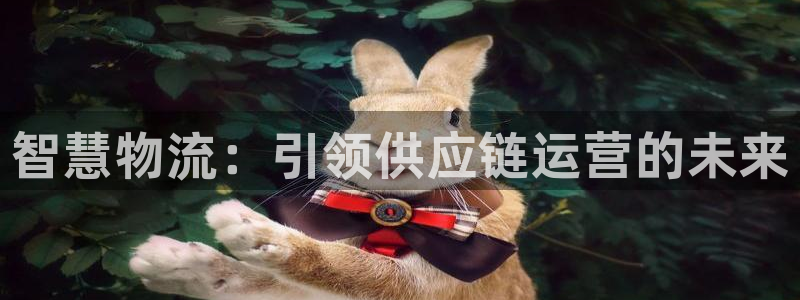 28圈赌博软件正规吗