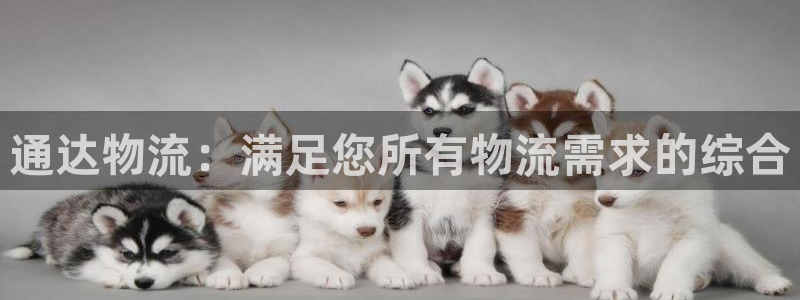 28圈口内径是多大