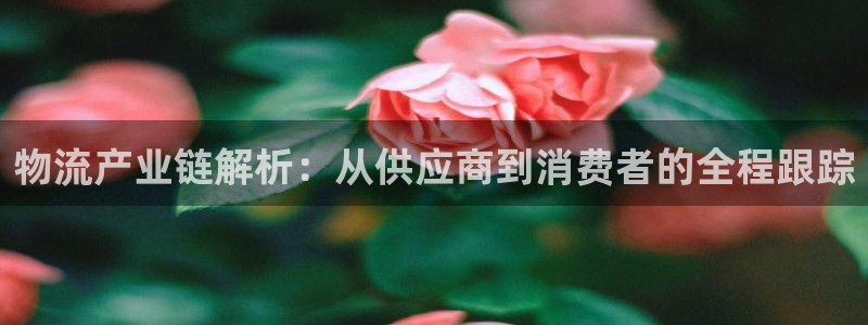 28圈软件堵什么反什么