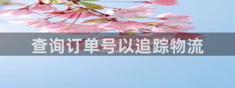 28圈官方官网版