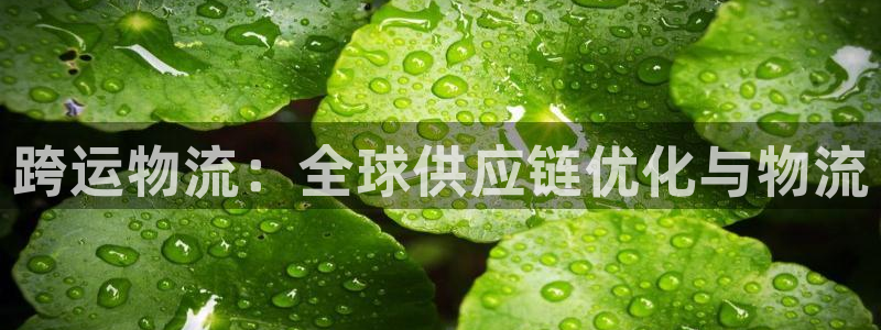 28圈最稳打法