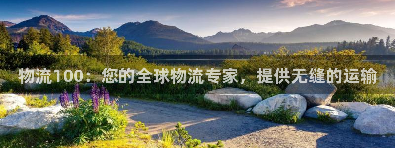 28圈注册网站链接怎么弄