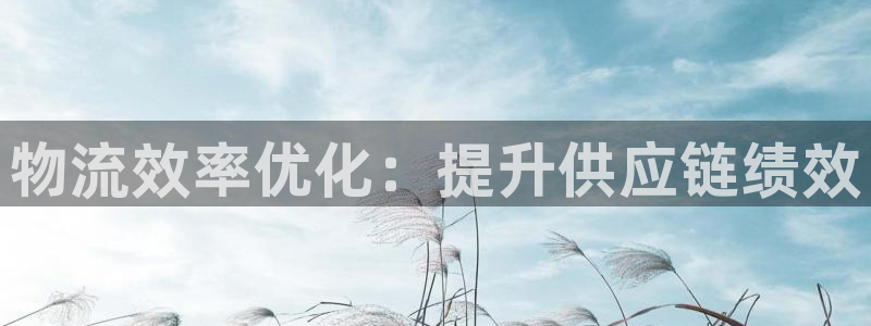 28圈官方网站预测