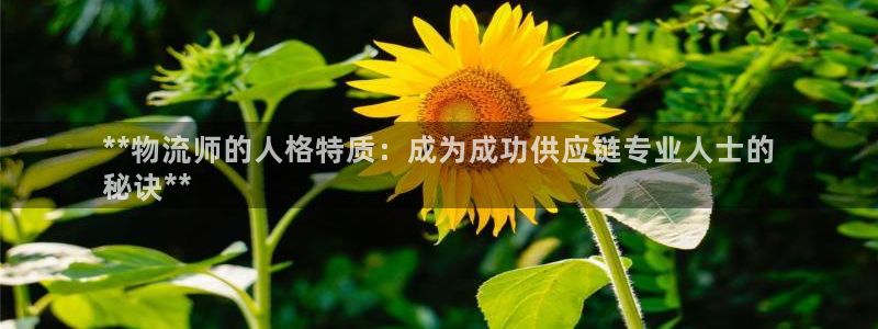 28圈app怎么注销