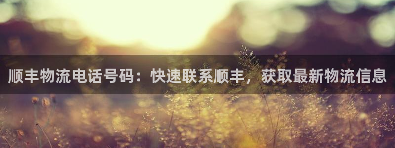 28圈加拿大最新版