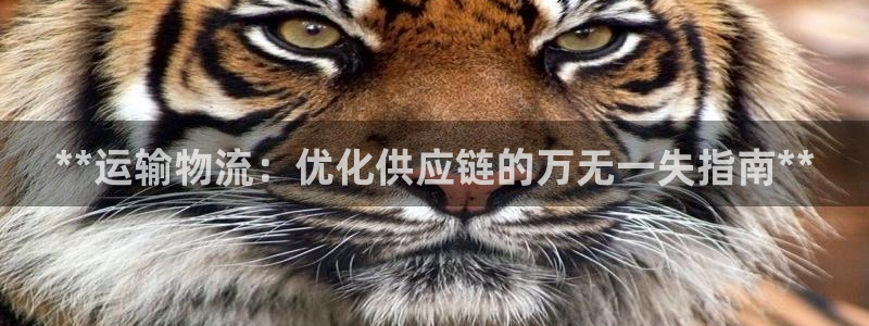 28圈注册网站链接