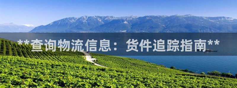 28圈模拟