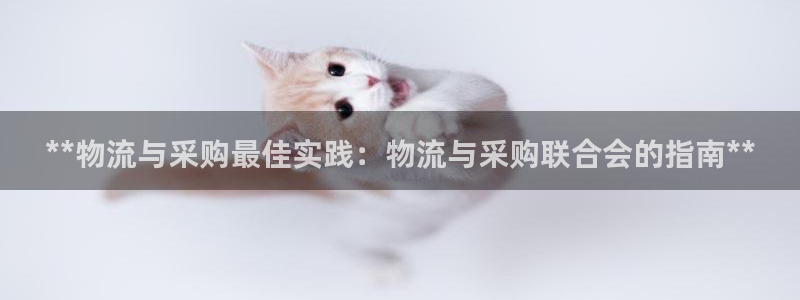 28圈如何看012路计划