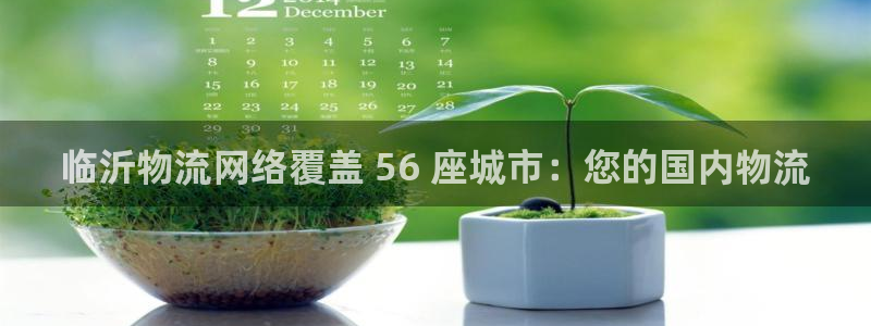 28圈登录不上咋回事