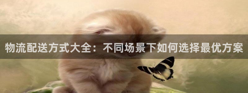 28圈入口问一问