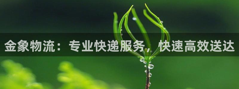 28圈初始资金密码在哪里改