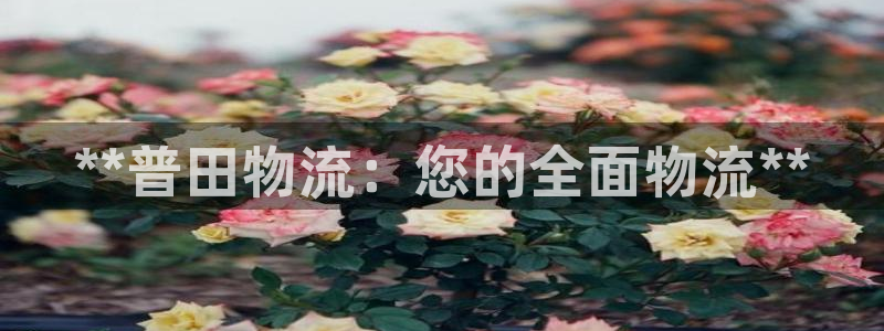 28圈注册登录流程