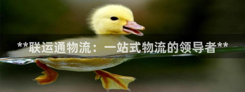 28圈登录用户名登录不上