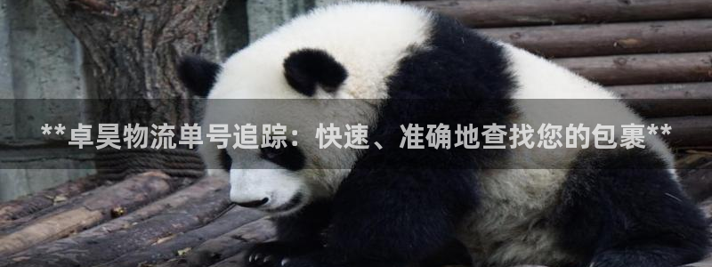 28圈提现不到账