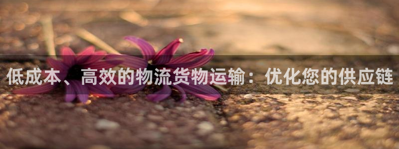 28圈.ccmpcios
