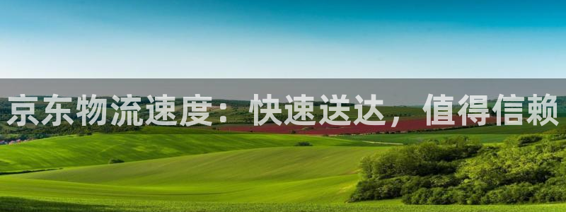 28圈官网平台