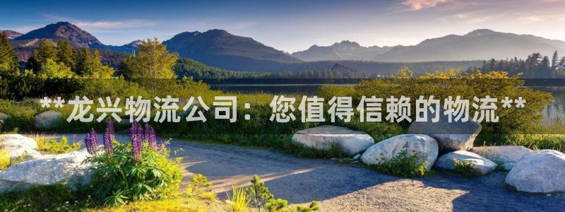 28圈官网平台