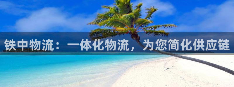 28圈注册流程：铁中物流：一体化物流