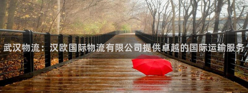 28圈app注册地址：武汉物流：汉欧
