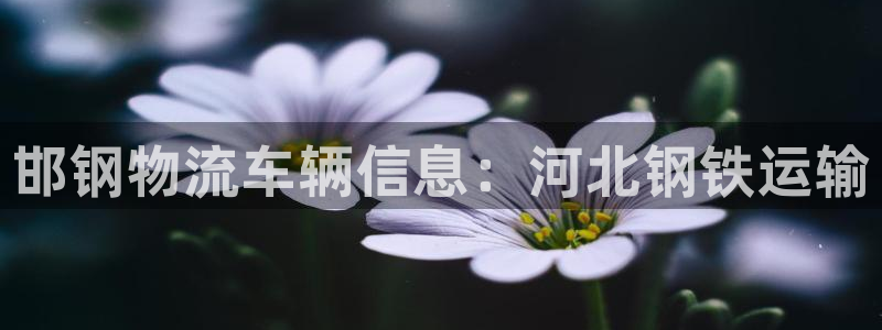 28圈分分28预测
