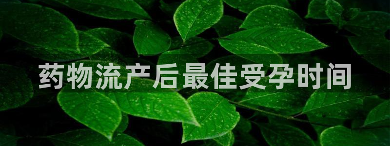 28圈图片