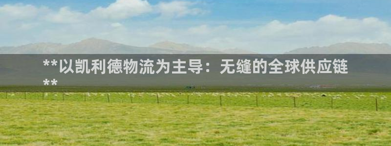 28圈注册平台：**以凯利德物流为主