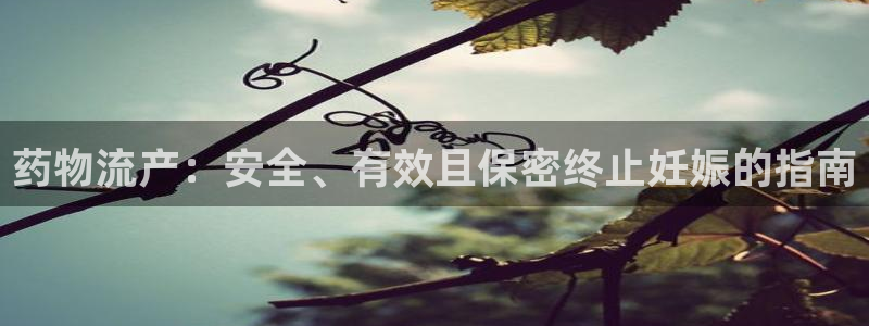 28圈p扣款什么意思