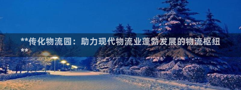 28圈ip被限制怎么解决