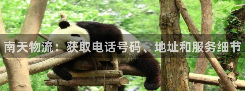 28圈官方官网