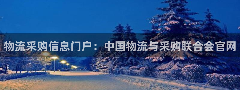 28圈.ccmpc预测