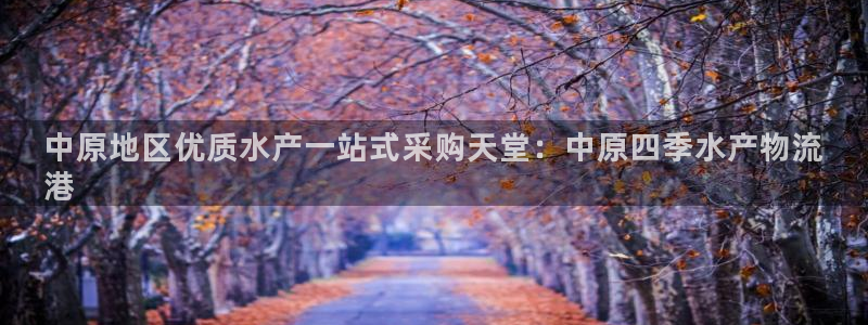 28圈客服电话