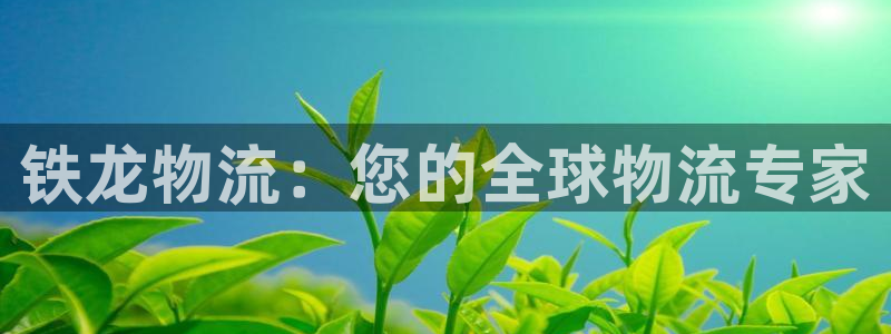 28圈账号注册：铁龙物流：您的全球物