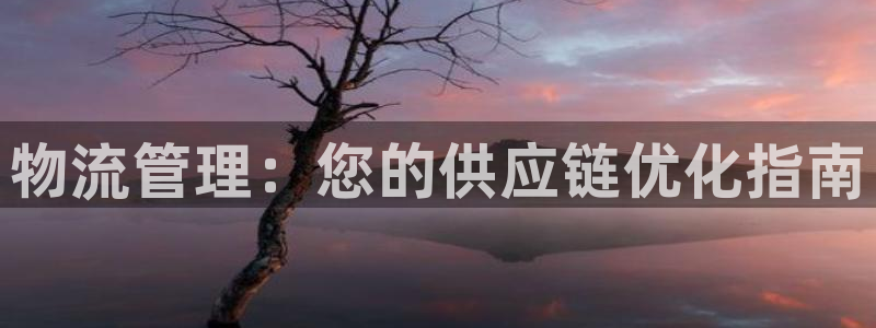 28圈赌博软件正规吗：物流管理：您的