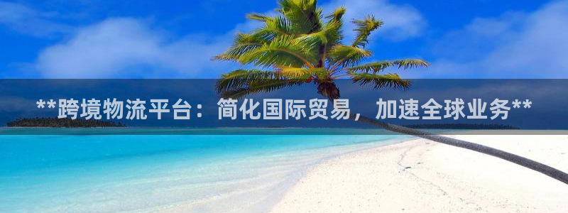 28圈注册登录：**跨境物流平台：简