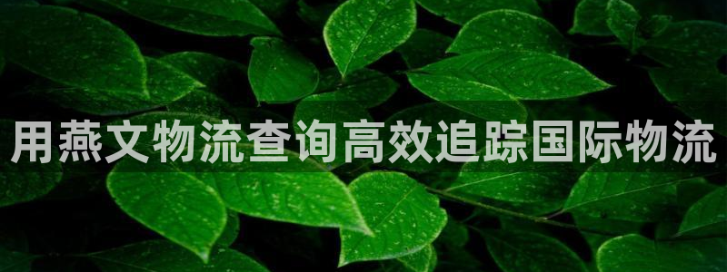 28圈是什么是赌博吗?