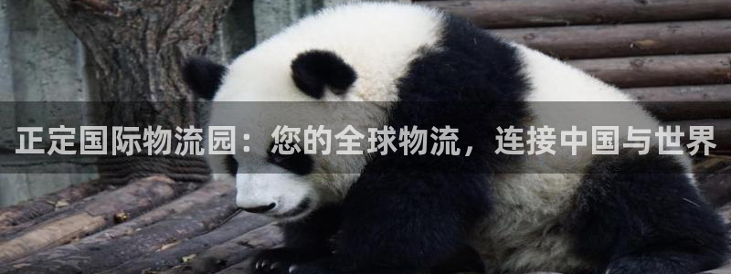 28圈南宫娱乐官网