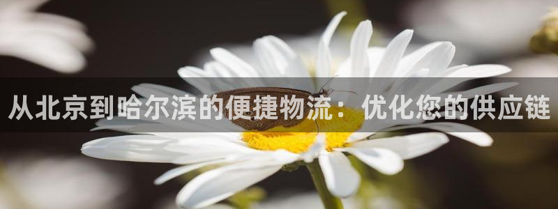 28圈.ccmpc是诈骗吗?