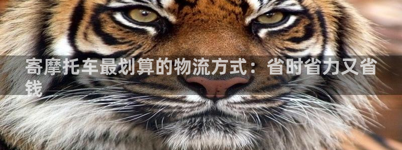 28圈麻将胡了在线试玩